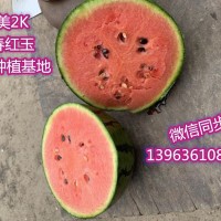 今天西瓜價(jià)格圖全美2K西瓜價(jià)格